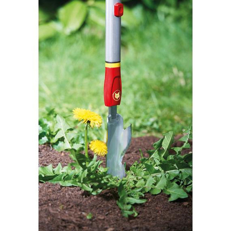 Echardonnoir désherbeur OUTILS WOLF IWM (manche interchangeable) - Multistar